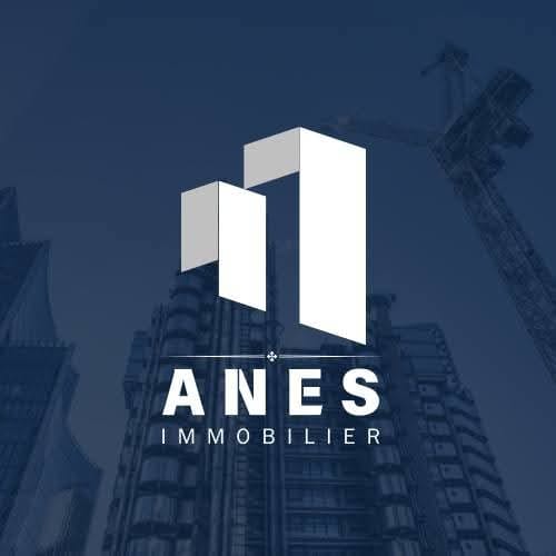 Anes Immobilier