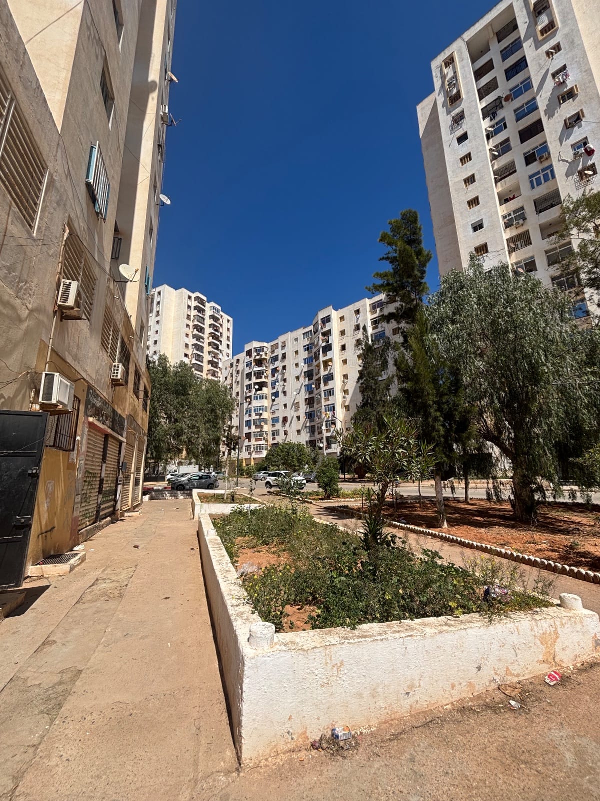 Bureau / Local – Aadl Hai Sabah, Oran